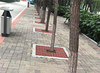 惠州海绵型树篦子-护树板-树穴